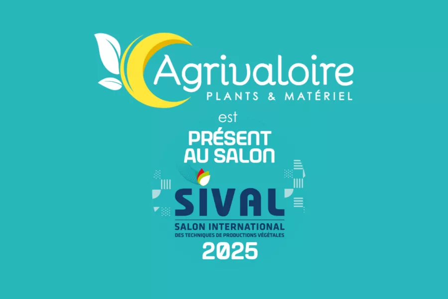 SIVAL 2025