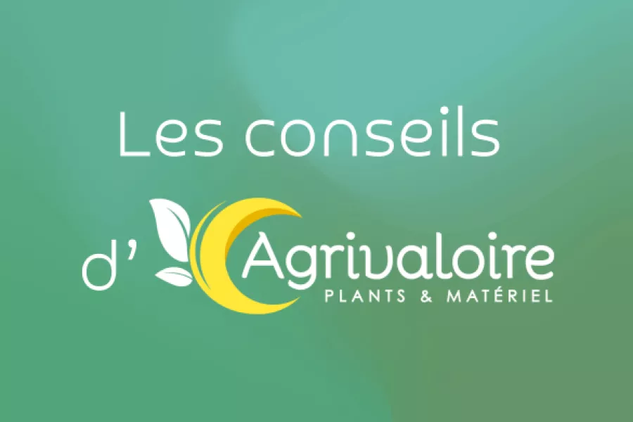 Les conseils d'Agrivaloire