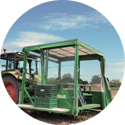 Planteuse de poireaux Basrijs Agrivaloire